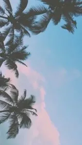 Los mejores fondos de pantalla para viajeros