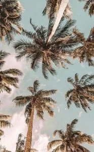 Los mejores fondos de pantalla para viajeros